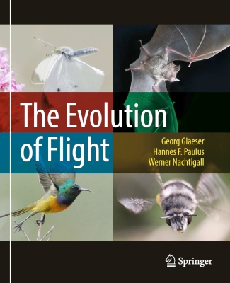 Click here for a bigger version of 'book-evo-flight-large.jpg'