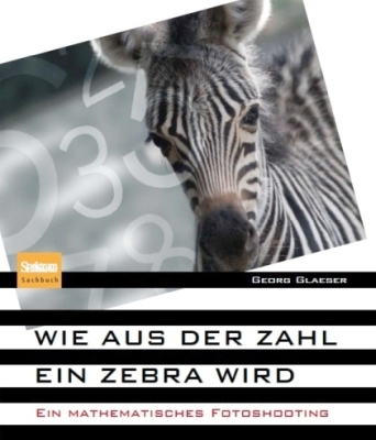 Click here for a bigger version of 'book-zebra-large.jpg'