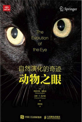 Click here for a bigger version of 'chinese-eyes.jpg'